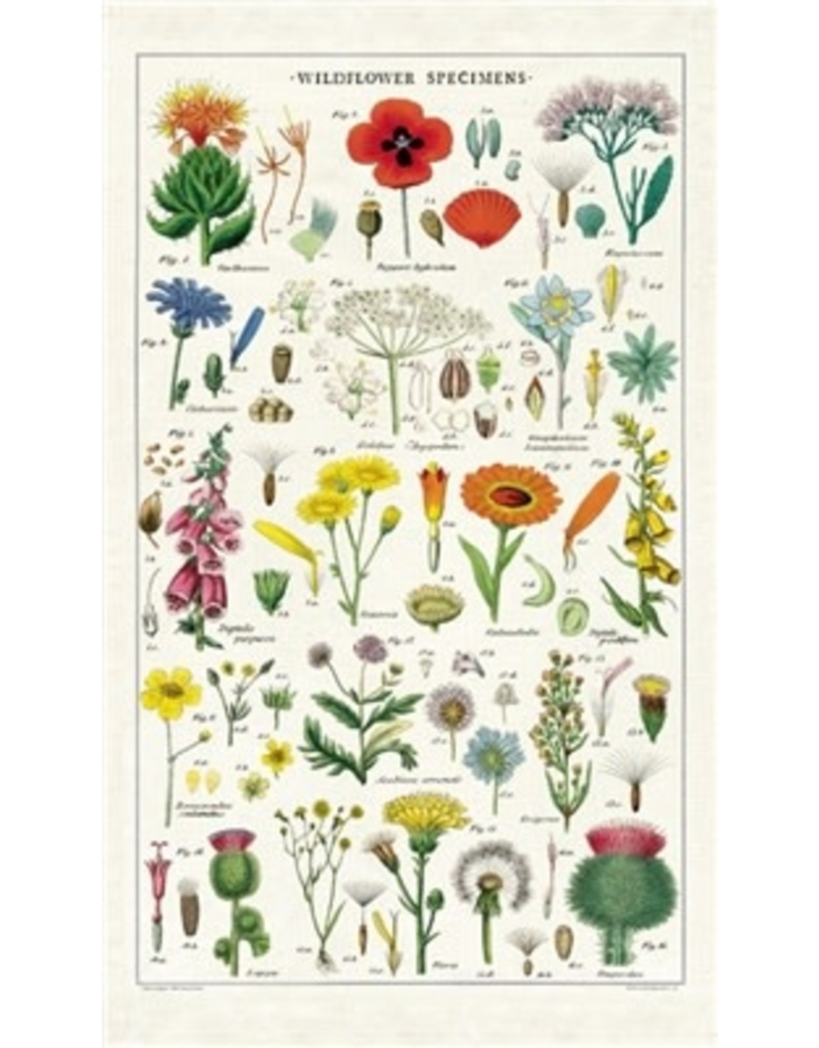 Cavallini Papers & Co. Wildflowers Tea Towel