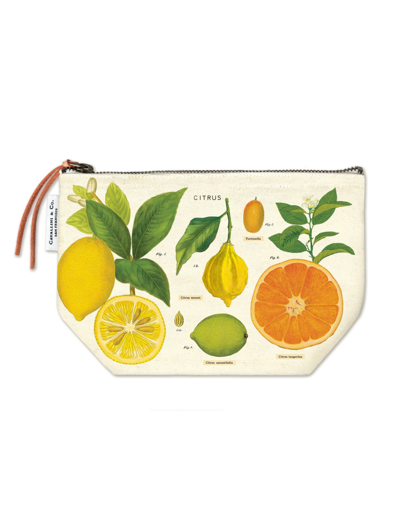 Cavallini Papers & Co. Citrus Vintage Pouch