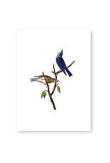 Tokyomilk Blue Birds Everyday Notecard