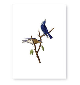 Tokyomilk Blue Birds Everyday Notecard