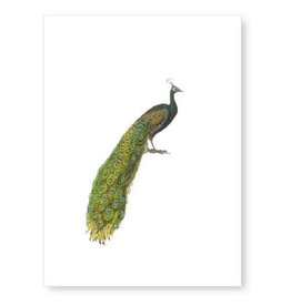 Tokyomilk Peacock Everyday Notecard