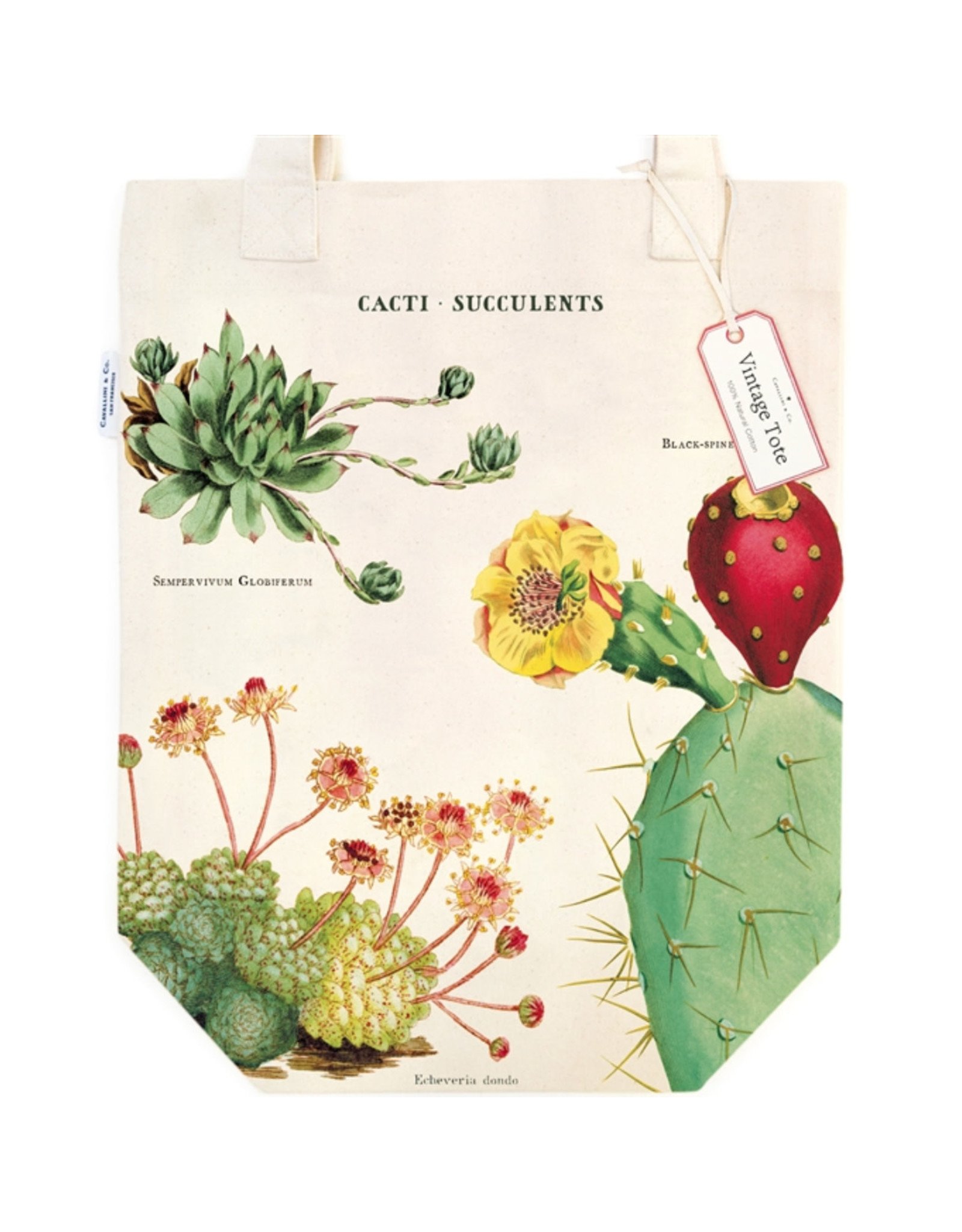 Cavallini Papers & Co. Cacti & Succulents Tote Bag