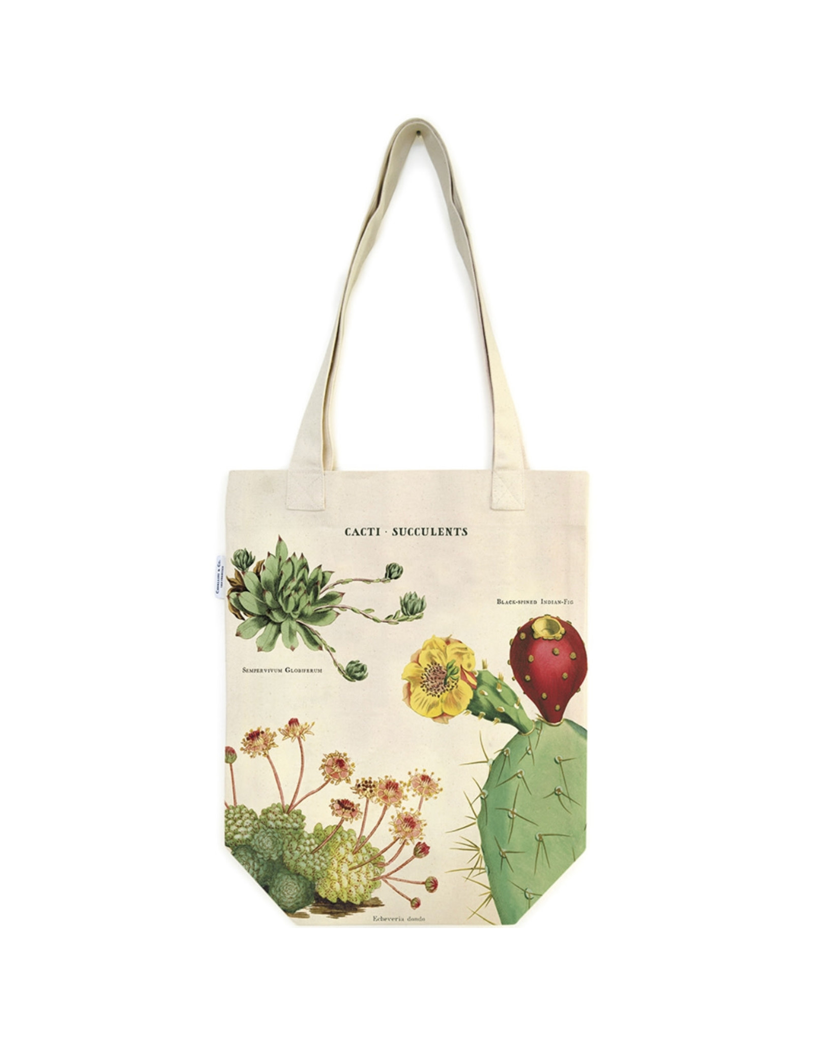 Cavallini Papers & Co. Cacti & Succulents Tote Bag