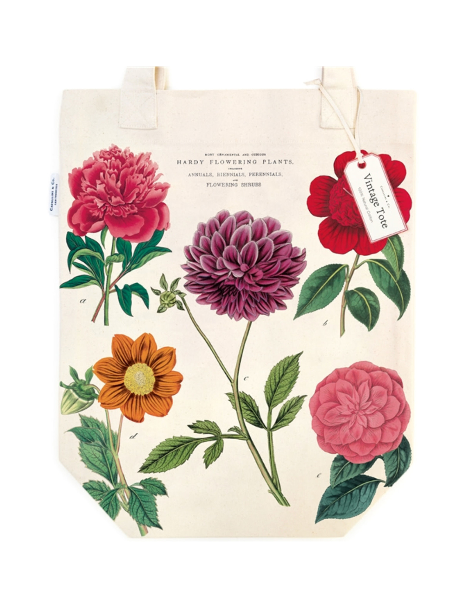 Cavallini Papers & Co. Botanica Tote Bag