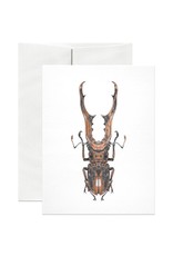 Open Sea Design Co. Stag Beetle A2 Everyday Notecard