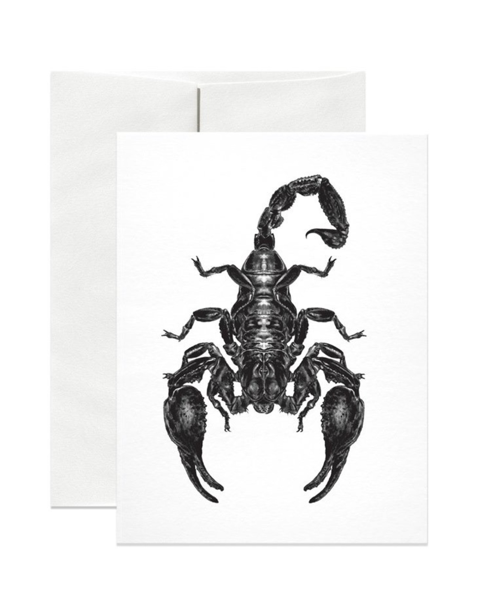 Open Sea Design Co. Emperor Scorpion A2 Everyday Notecard