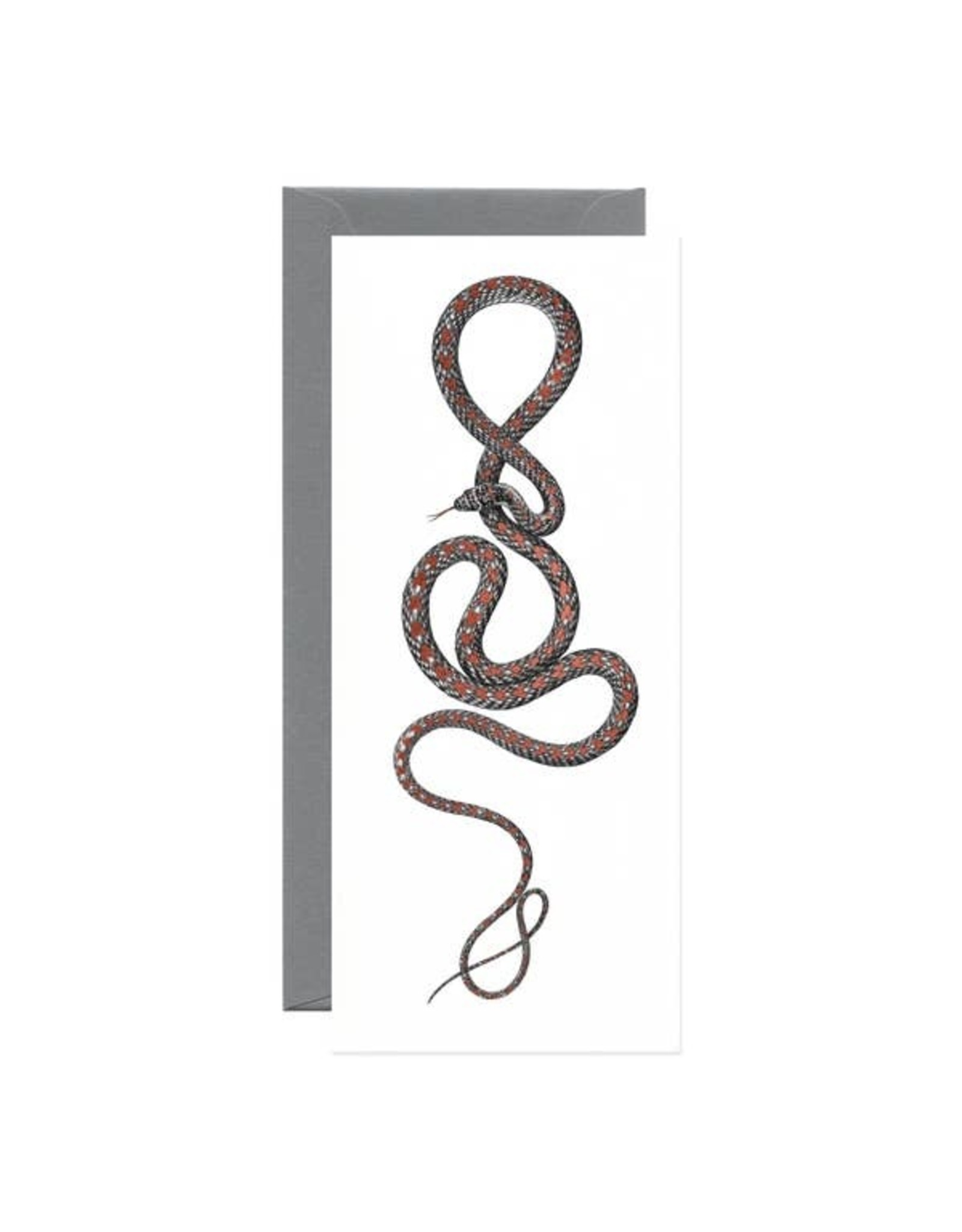 Open Sea Design Co. Paradise Flying Snake No.10 Everyday Notecard
