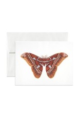Open Sea Design Co. Orizaba Silkmoth A2 Everyday Notecard