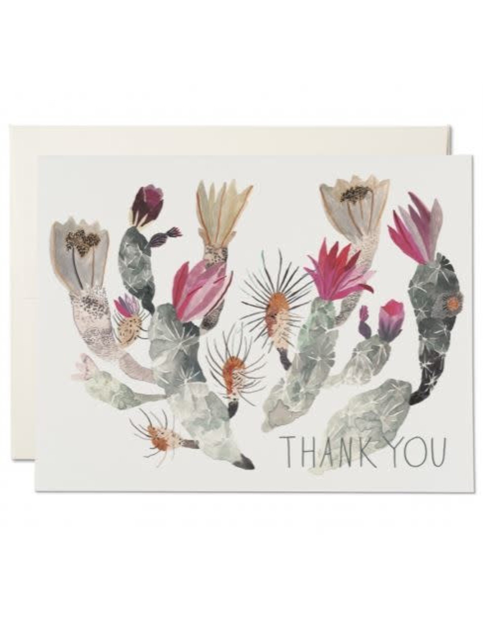 Red Cap Cards California Cactus Thank You Box of 8 Notecards