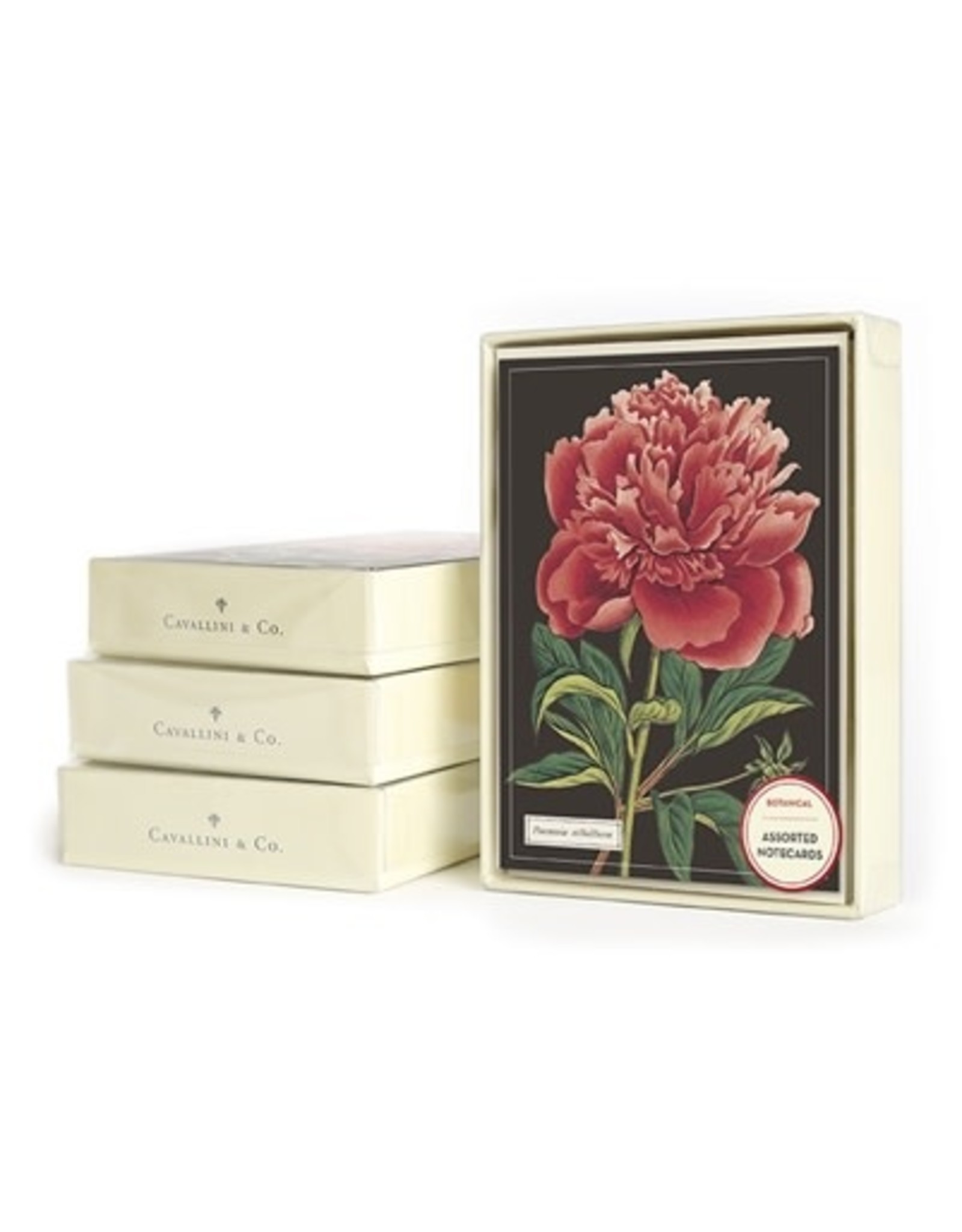 Cavallini Papers & Co. Botanical Boxed Notecards