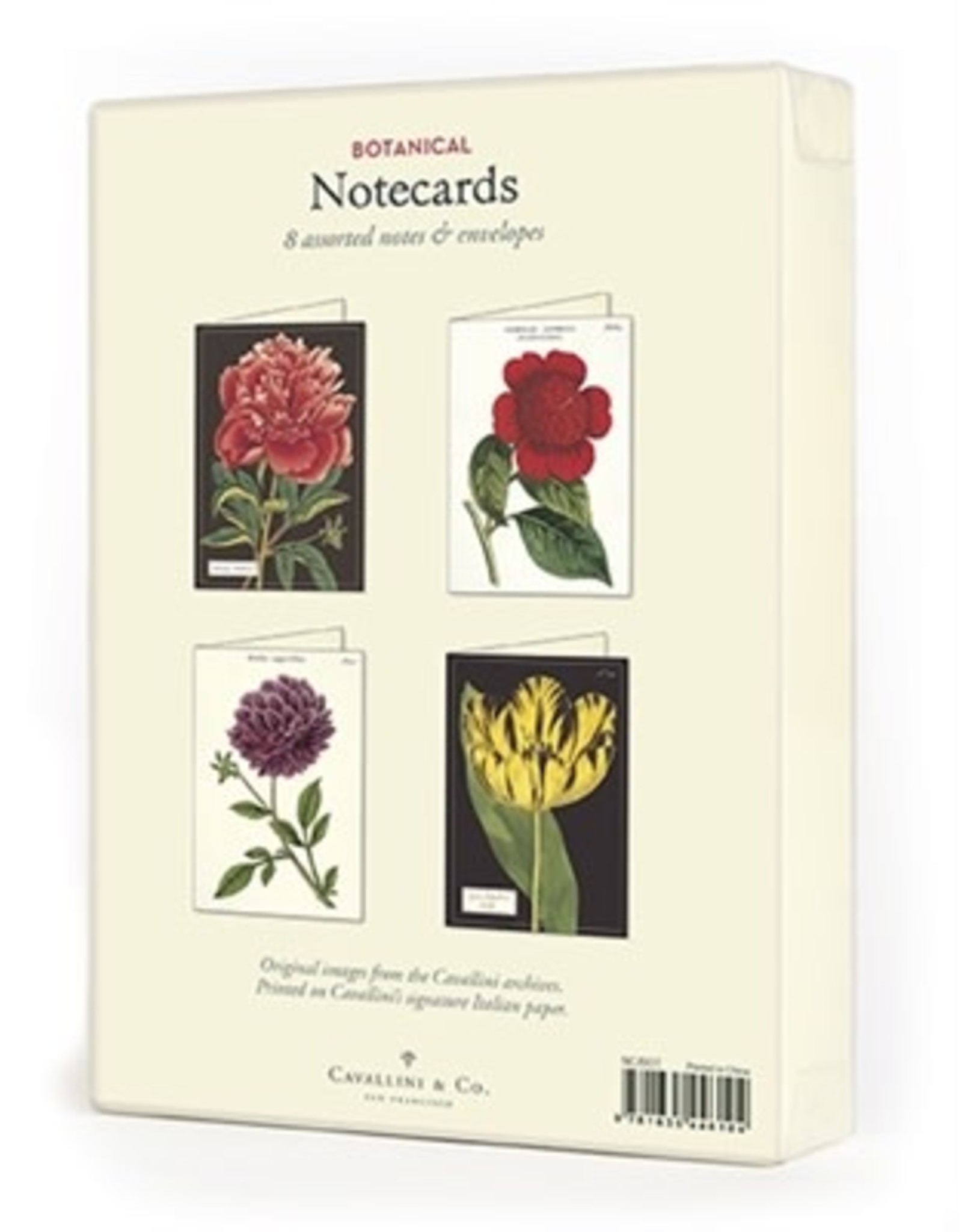 Cavallini Papers & Co. Botanical Boxed Notecards