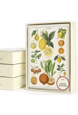 Cavallini Papers & Co. Jardin Boxed Notecards