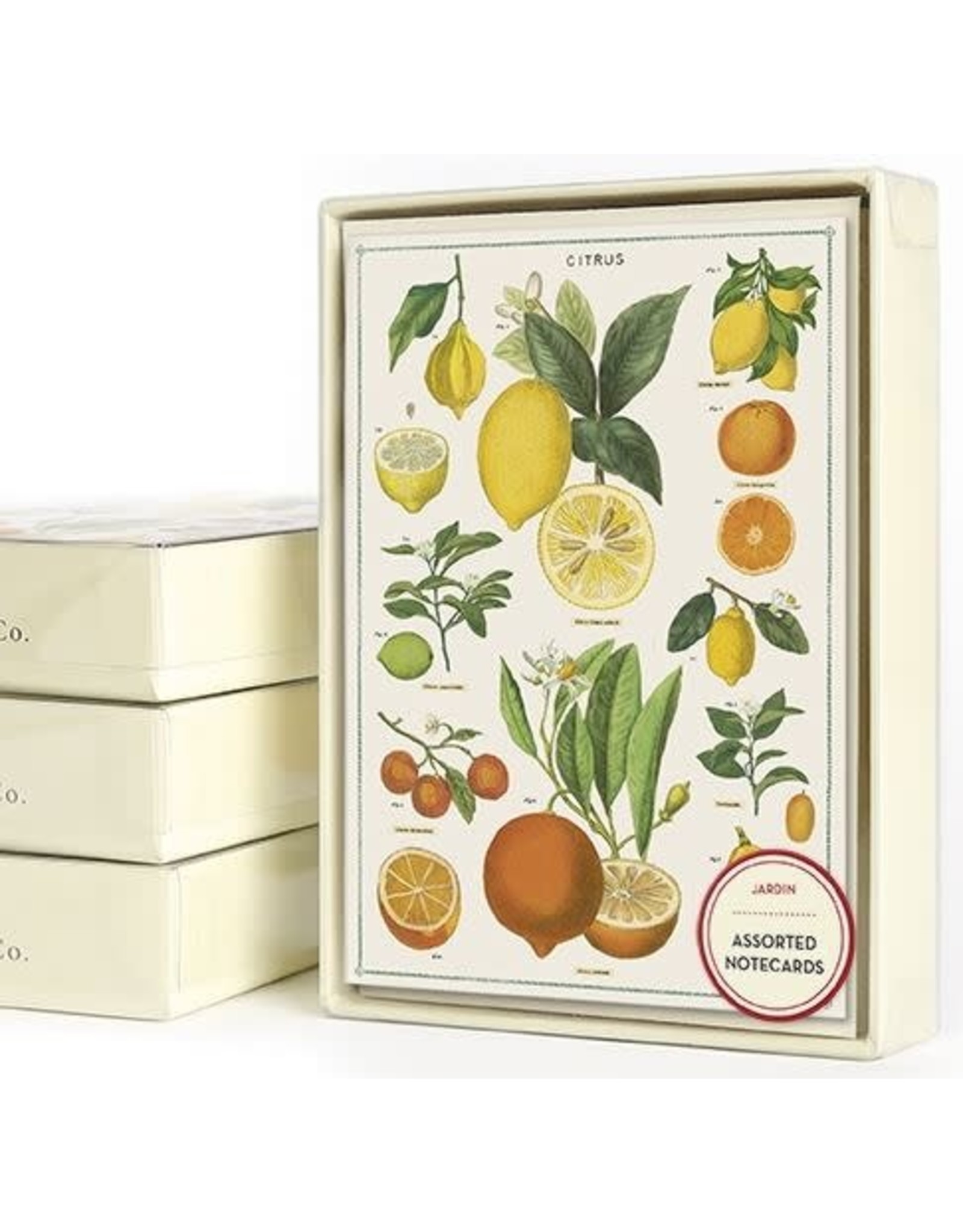 Cavallini Papers & Co. Jardin Boxed Notecards