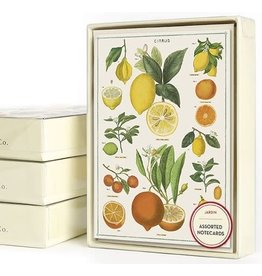 Cavallini Papers & Co. Jardin Boxed Notecards