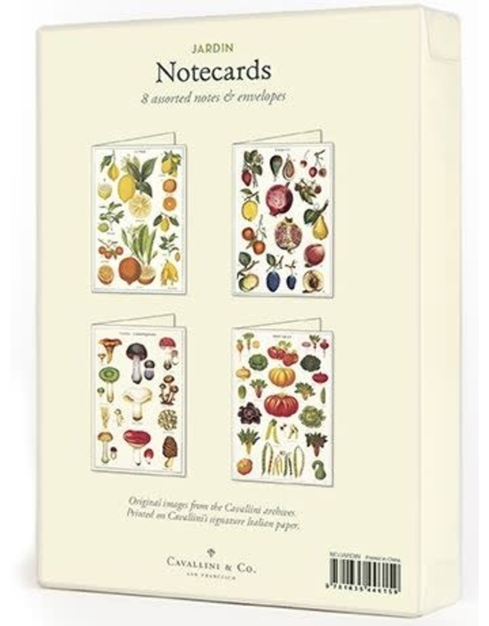 Cavallini Papers & Co. Jardin Boxed Notecards
