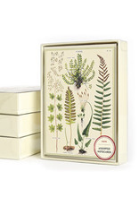 Cavallini Papers & Co. Ferns Boxed Notecards
