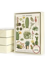 Cavallini Papers & Co. Succulents Boxed Notecards