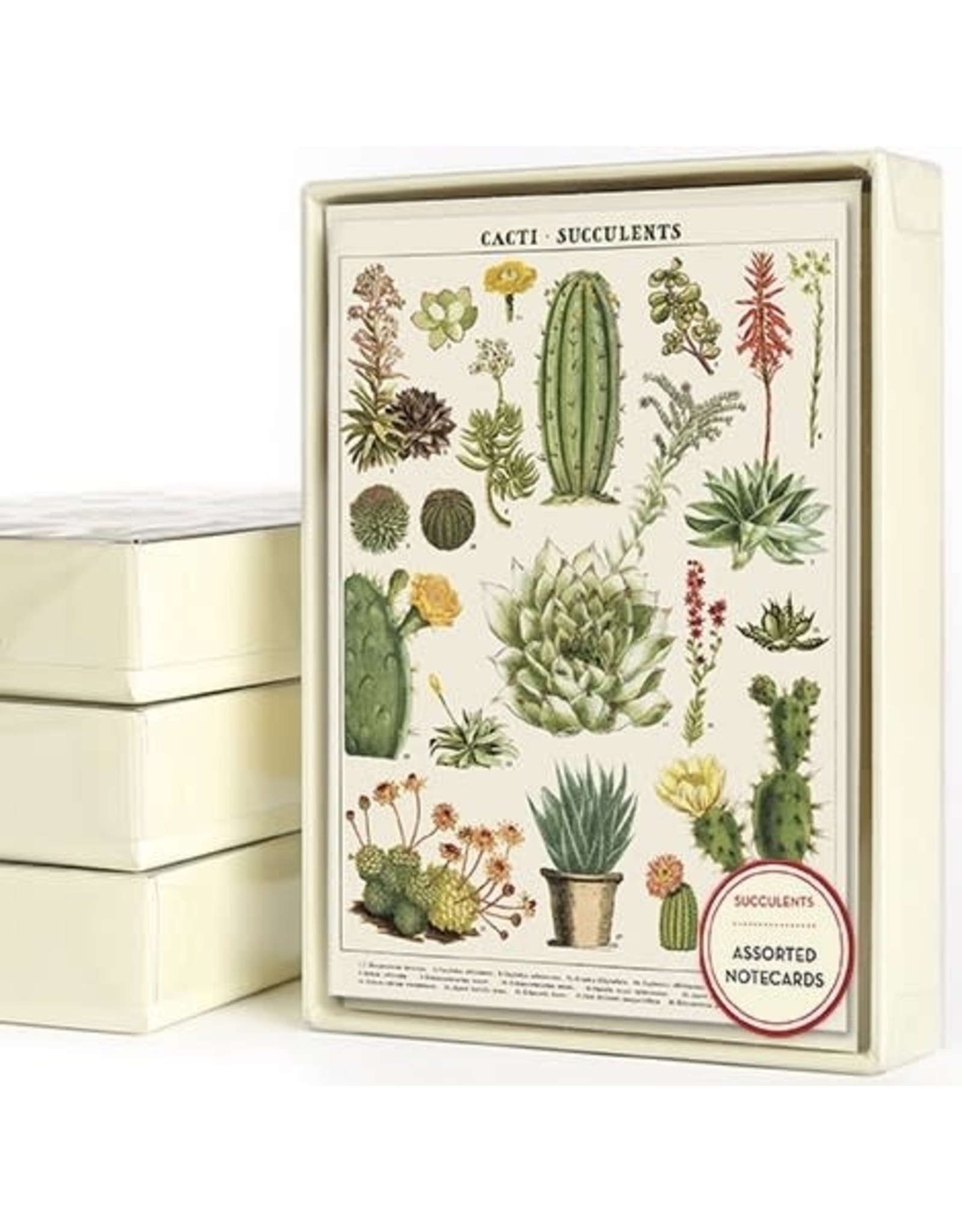 Cavallini Papers & Co. Succulents Boxed Notecards