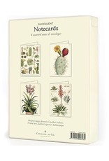 Cavallini Papers & Co. Succulents Boxed Notecards