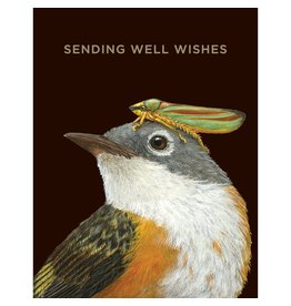 Hester & Cook Well Wishes Warbler Greeting Card A2