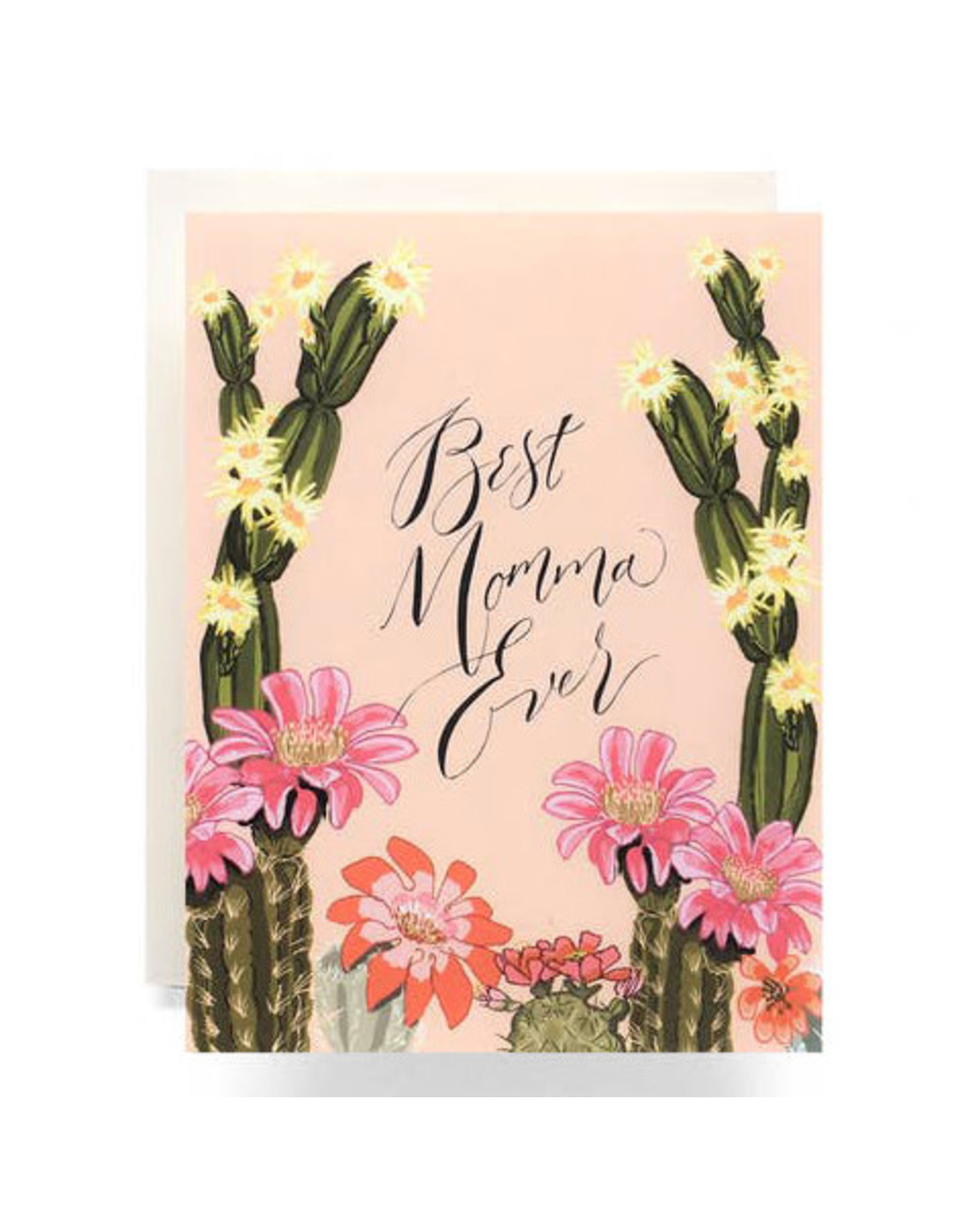 Antiquaria Cactus Bloom Mother's Day A2 Greeting Card