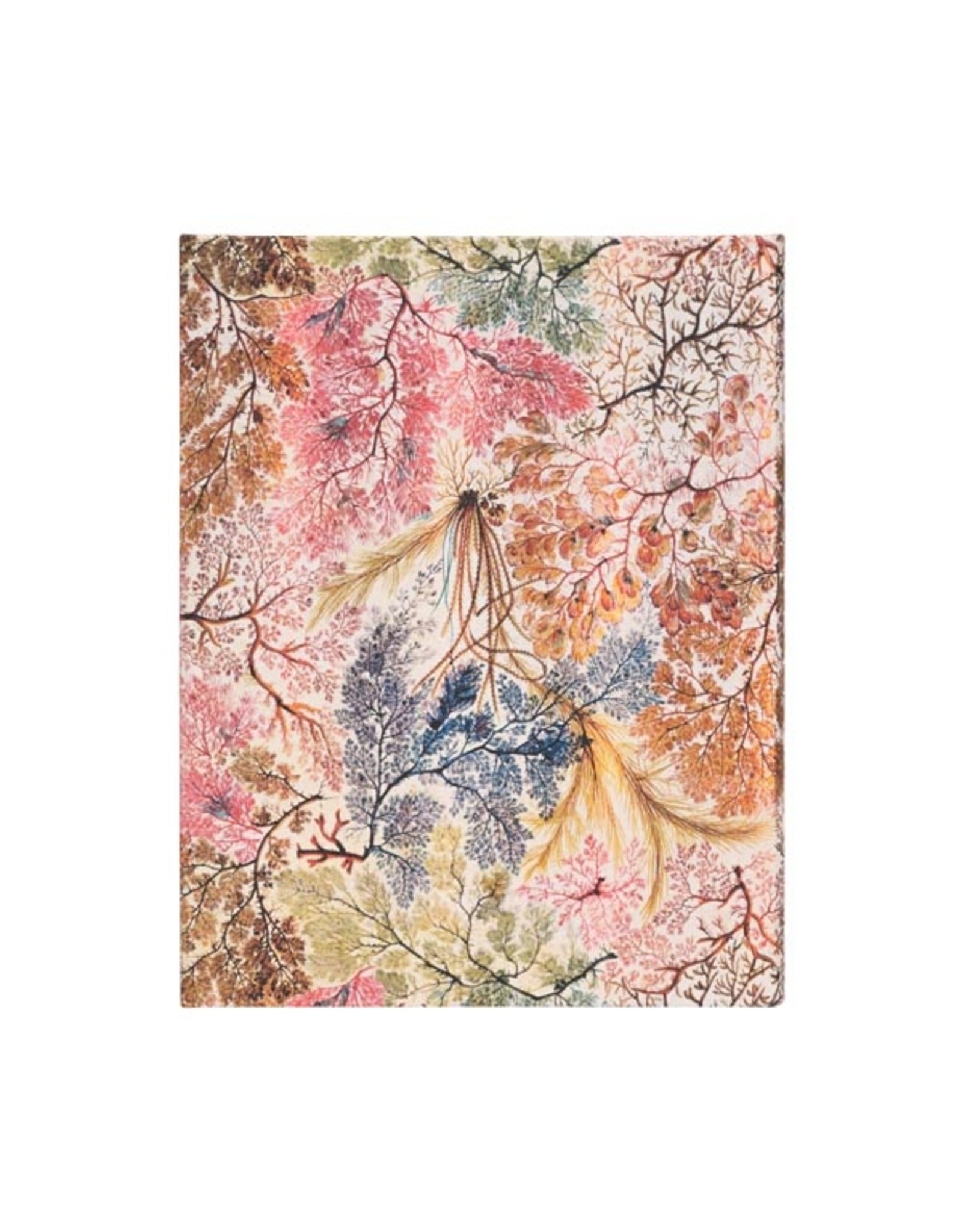 Paperblanks Anemone Ultra Lined Journal