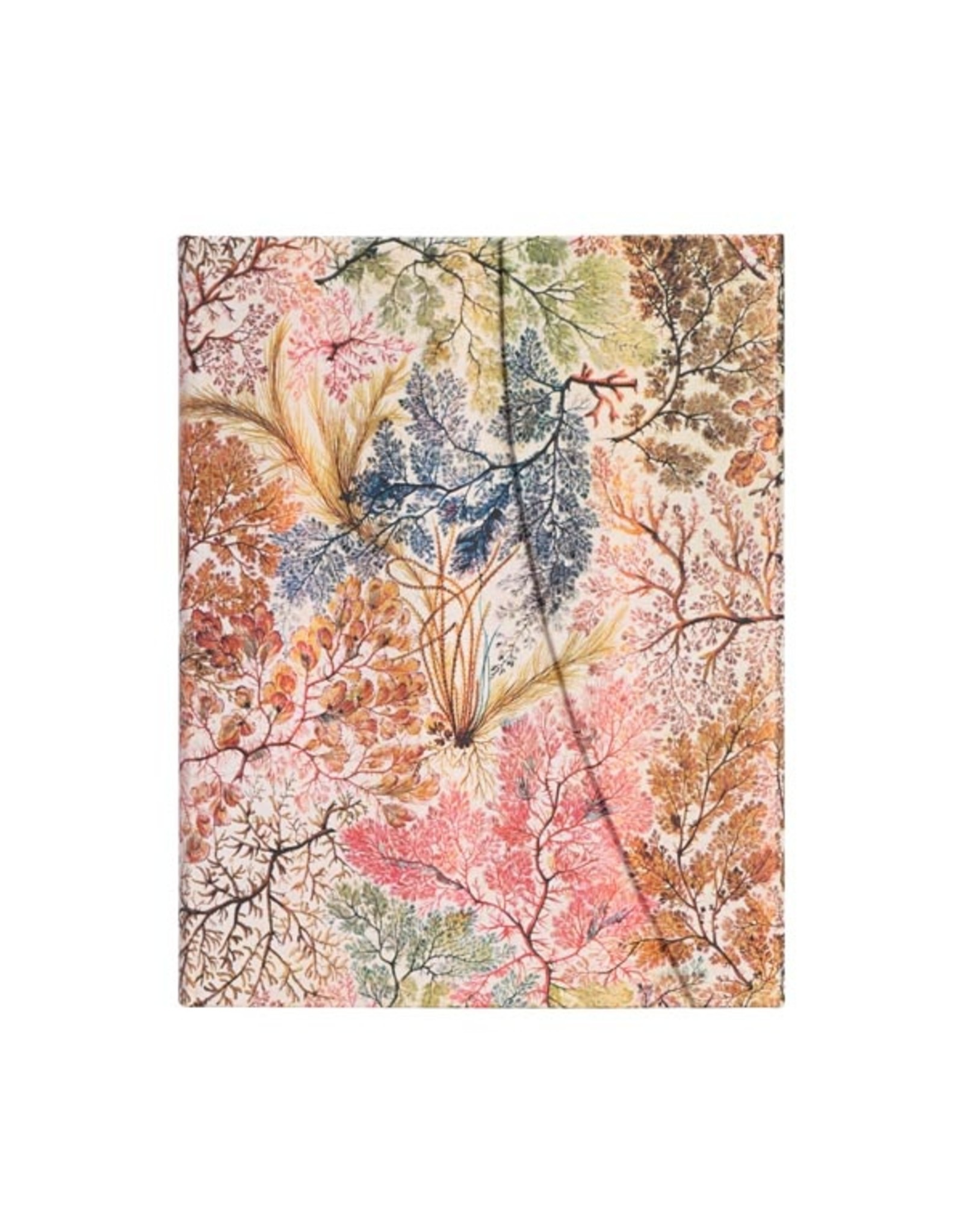Paperblanks Anemone Ultra Lined Journal
