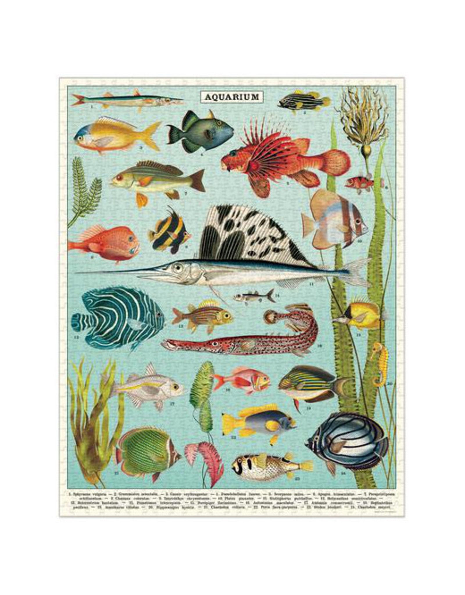 Cavallini Papers & Co. Cavallini Puzzle Aquarium 1,000 Pcs