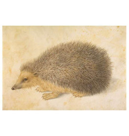 Pomegranate Hans Hoffmann: A Hedgehog Postcard