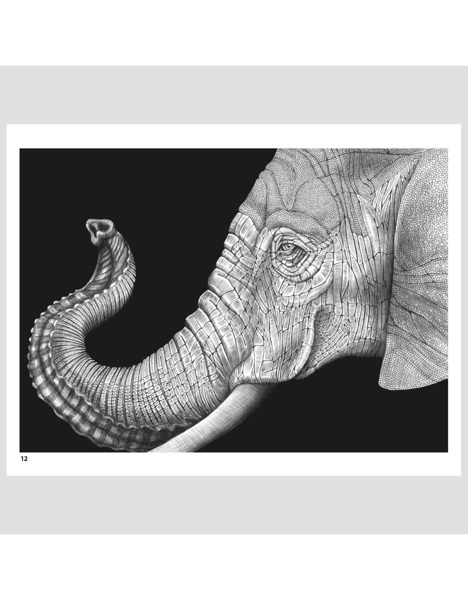 Pomegranate Intricate Ink: Animals in Detail Coloring Book