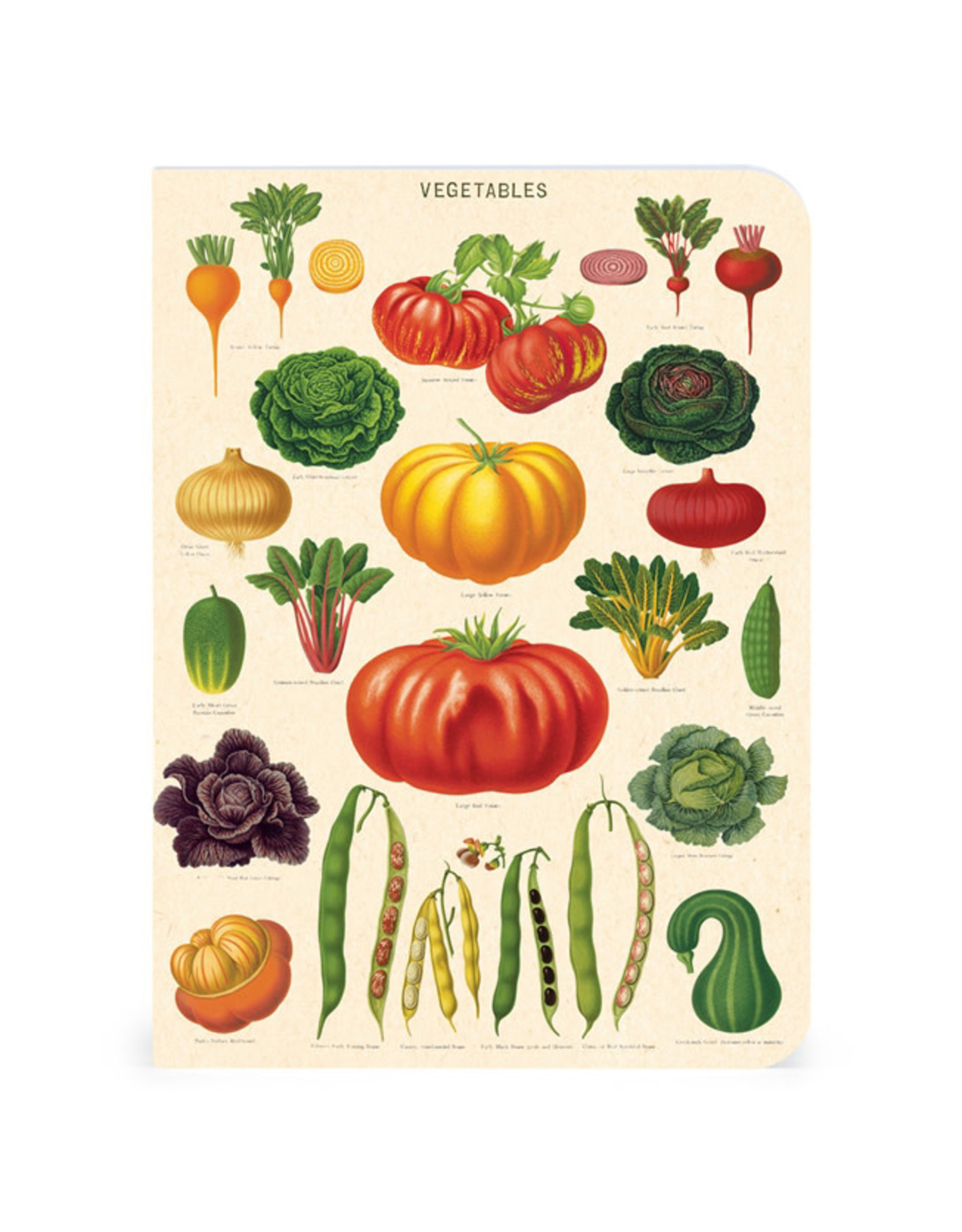 Cavallini Papers & Co. Le Jardin 3 Mini Notebooks