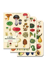 Cavallini Papers & Co. Le Jardin 3 Mini Notebooks