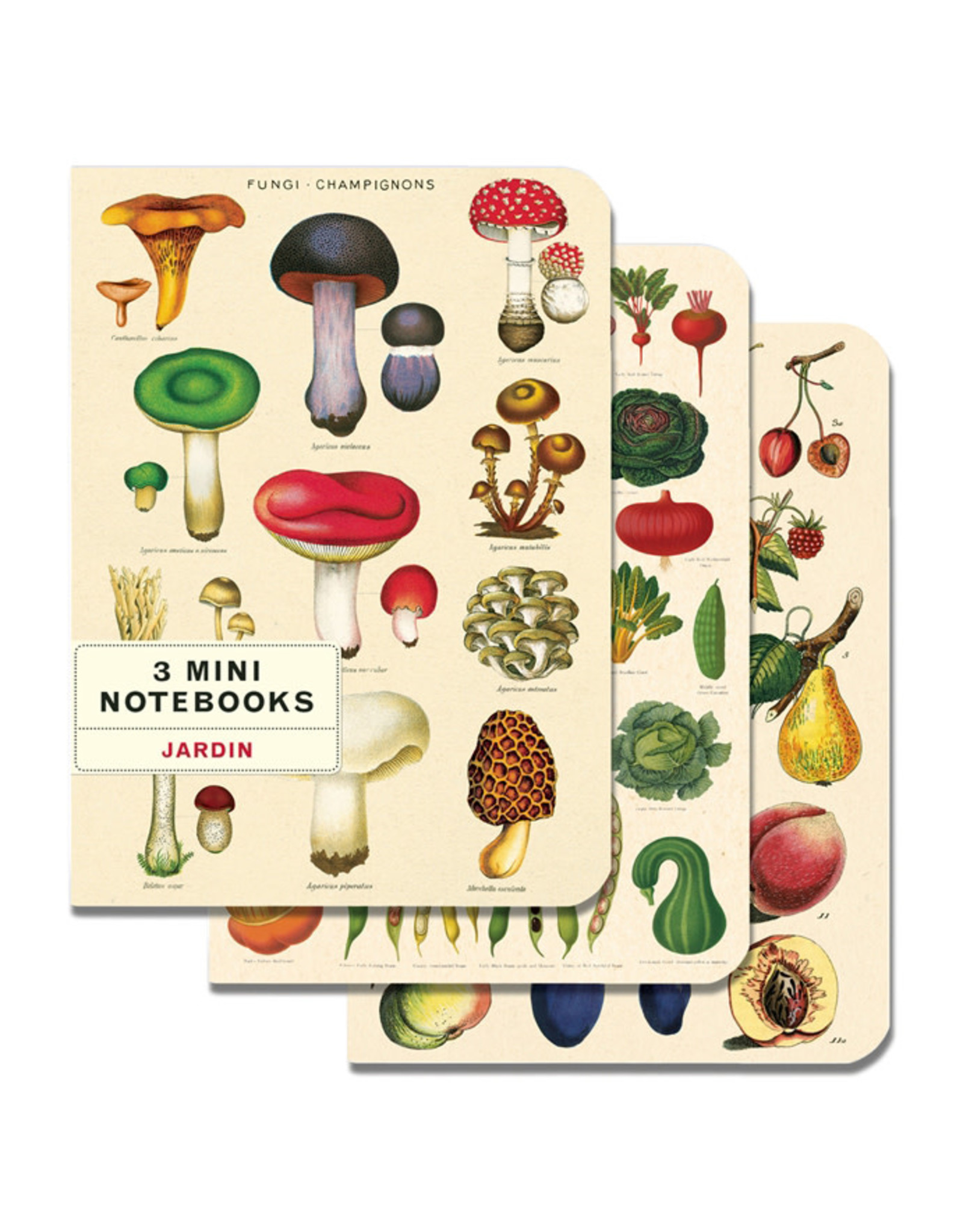 Cavallini Papers & Co. Le Jardin 3 Mini Notebooks