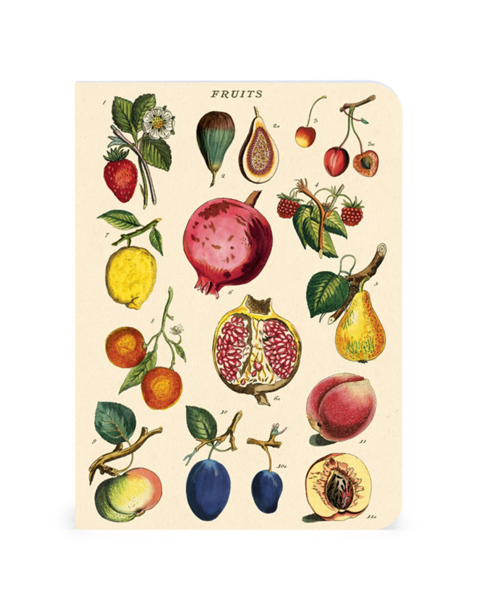Cavallini Papers & Co. Le Jardin 3 Mini Notebooks