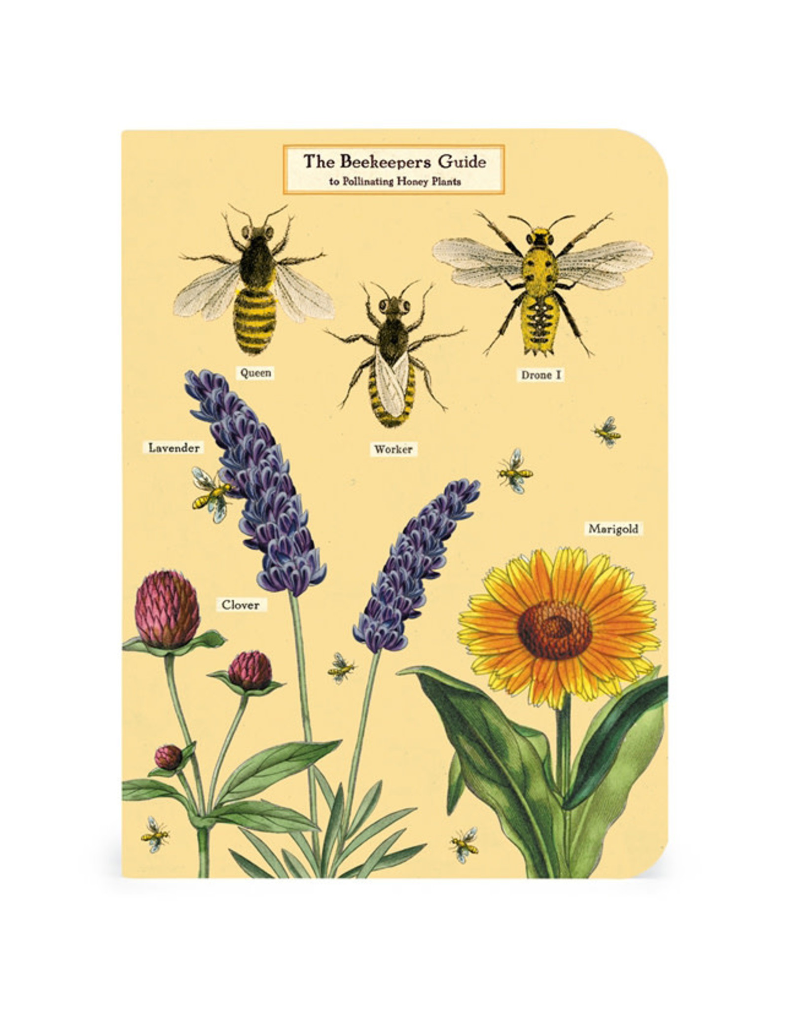 Cavallini Papers & Co. Bees & Honey 3 Mini Notebooks