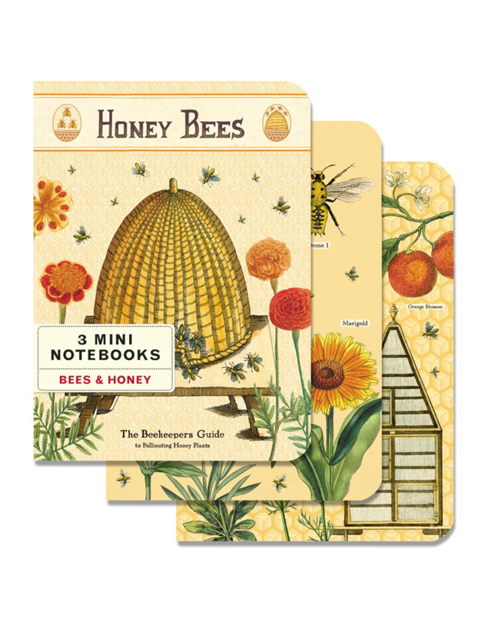 Cavallini Papers & Co. Bees & Honey 3 Mini Notebooks