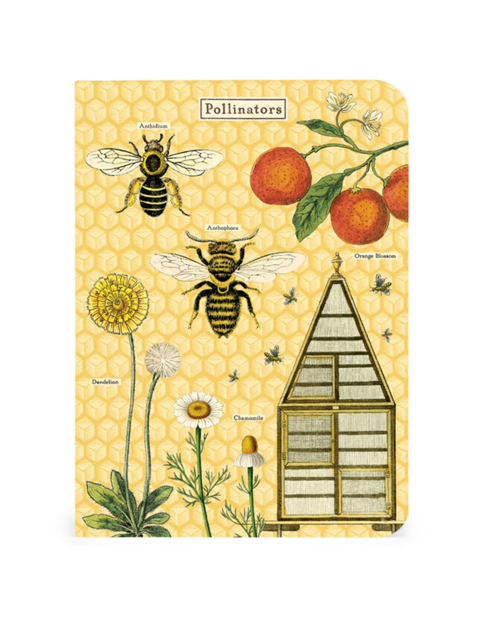 Cavallini Papers & Co. Bees & Honey 3 Mini Notebooks