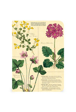 Cavallini Papers & Co. Herbarium 3 Mini Notebooks