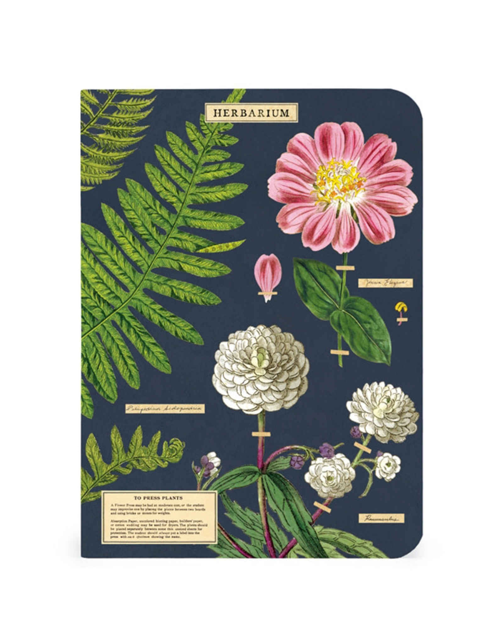 Cavallini Papers & Co. Herbarium 3 Mini Notebooks
