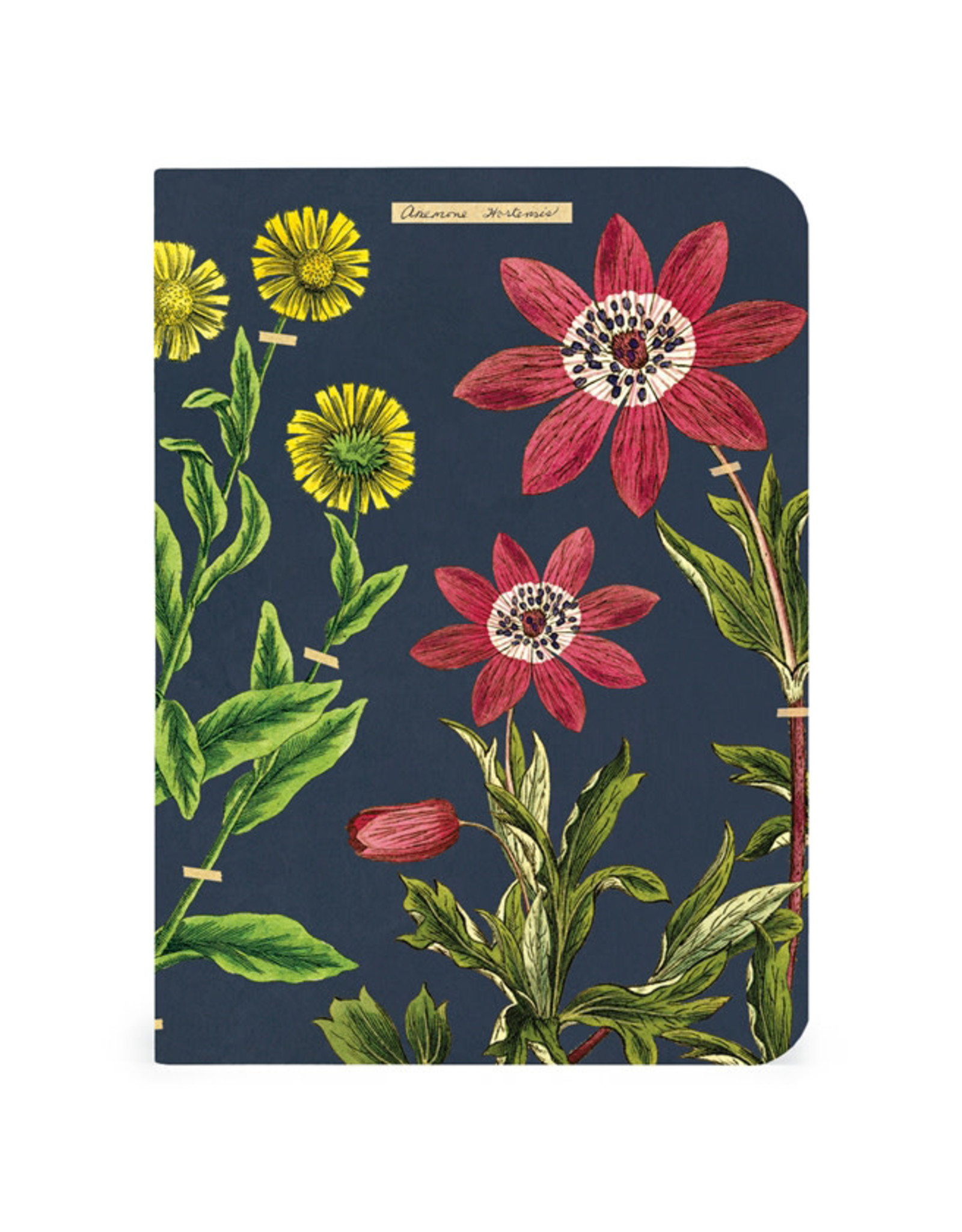 Cavallini Papers & Co. Herbarium 3 Mini Notebooks