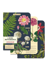 Cavallini Papers & Co. Herbarium 3 Mini Notebooks
