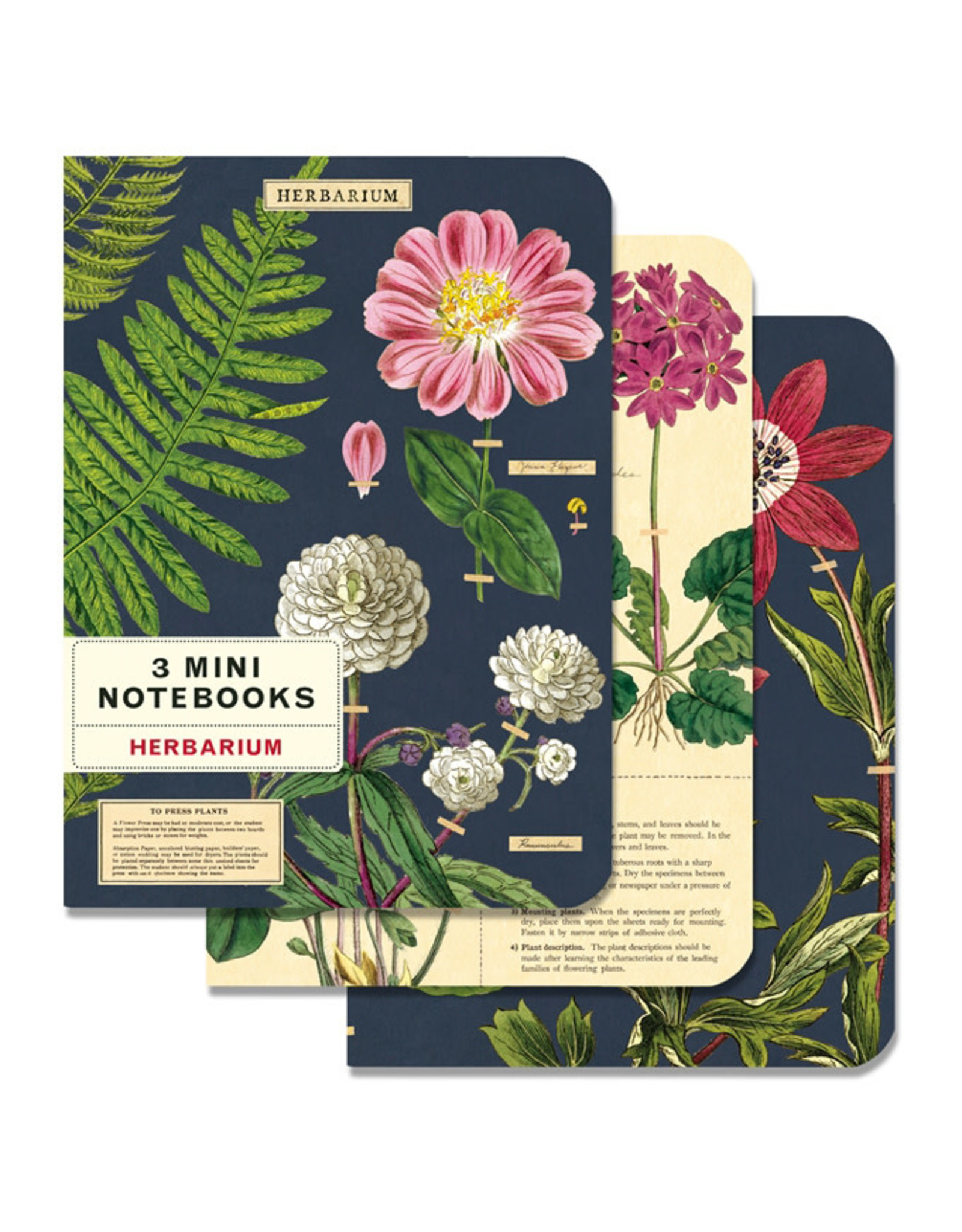 Cavallini Papers & Co. Herbarium 3 Mini Notebooks