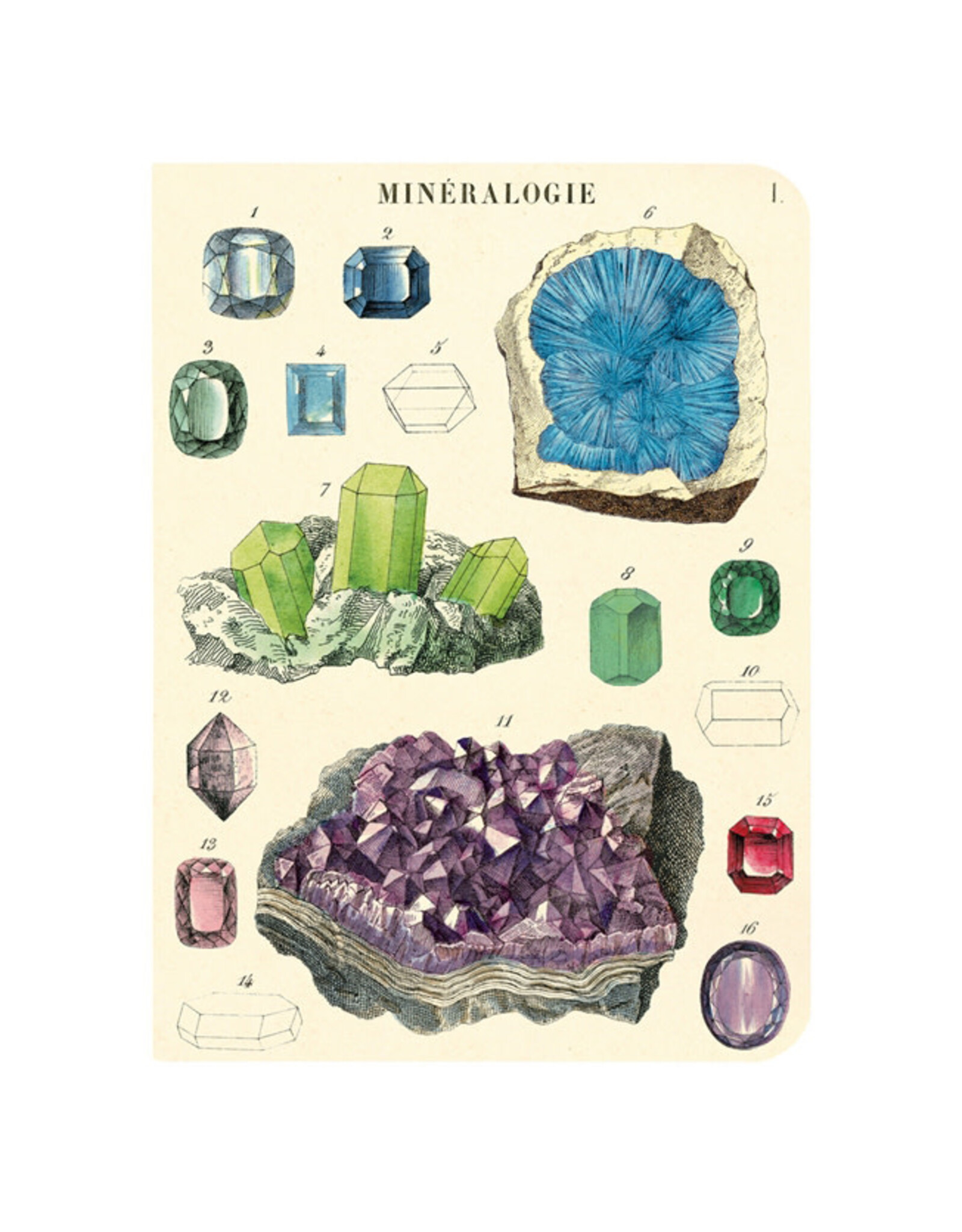 Cavallini Papers & Co. Mineralogy 3 Mini Notebooks