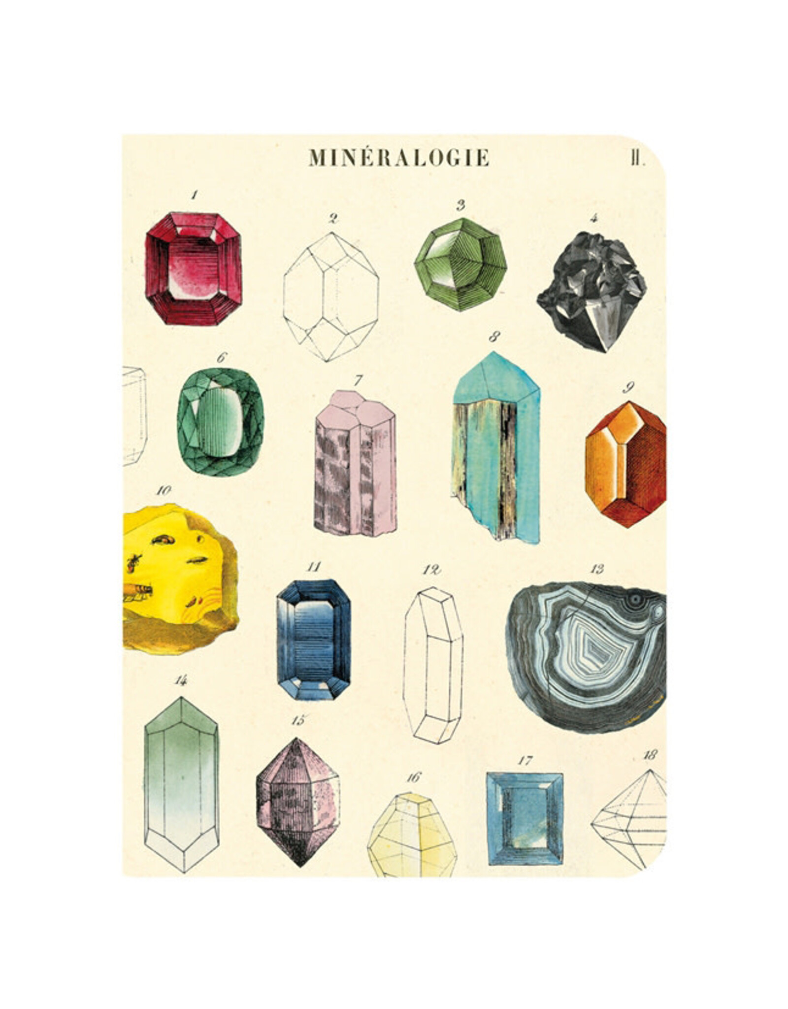 Cavallini Papers & Co. Mineralogy 3 Mini Notebooks