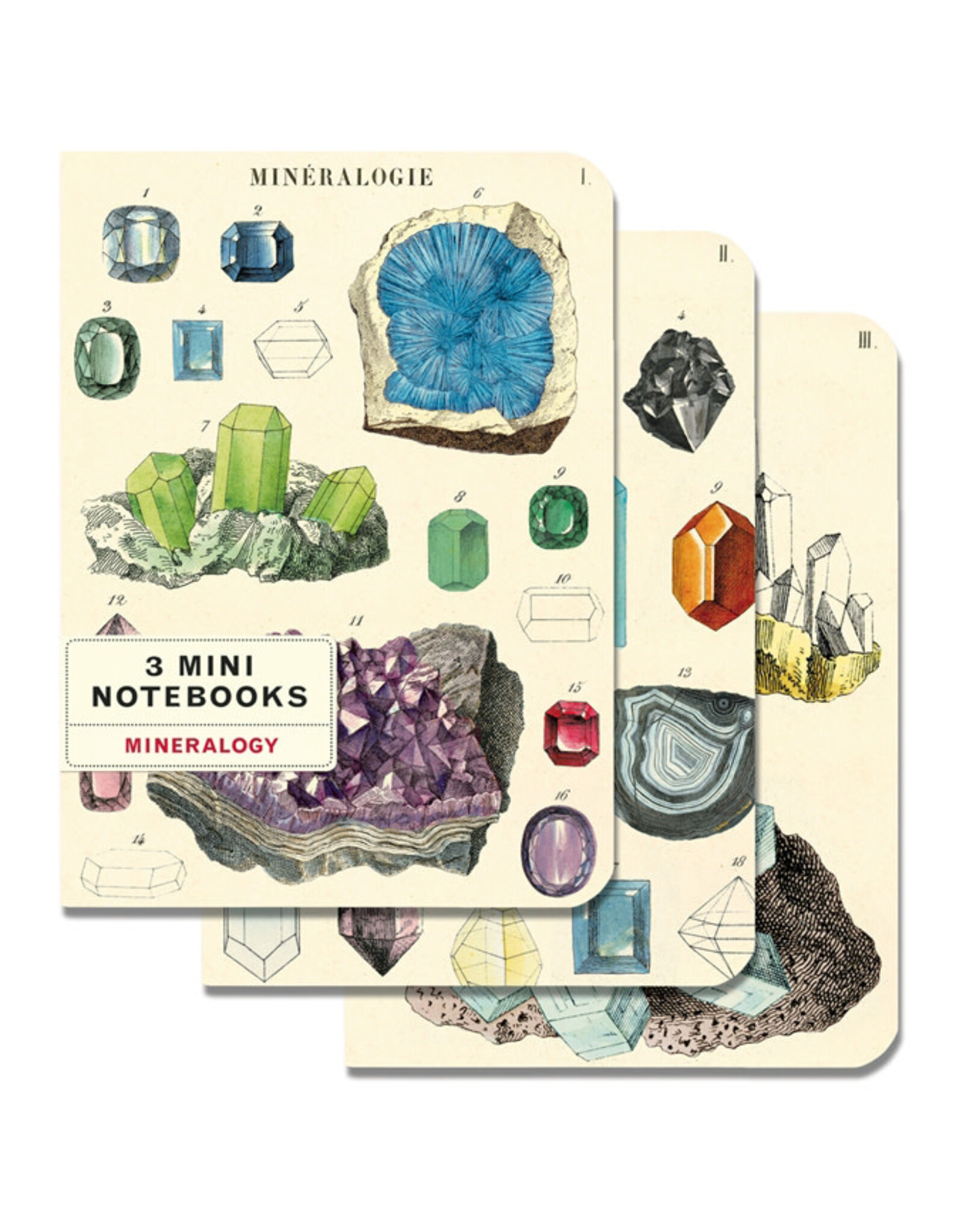 Cavallini Papers & Co. Mineralogy 3 Mini Notebooks