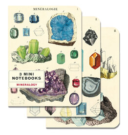 Cavallini Papers & Co. Mineralogy 3 Mini Notebooks