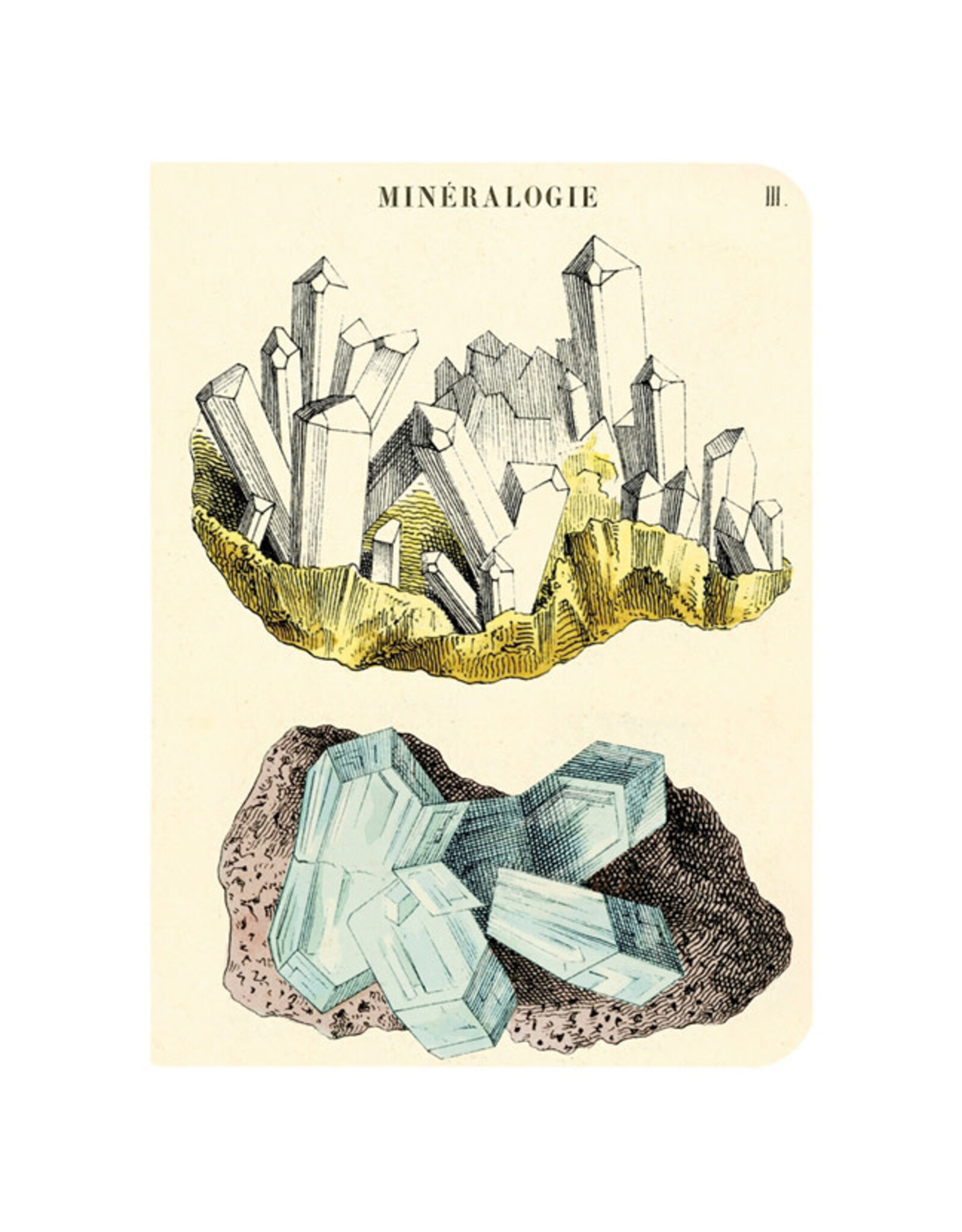 Cavallini Papers & Co. Mineralogy 3 Mini Notebooks