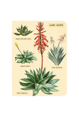 Cavallini Papers & Co. Succulents 3 Mini Notebooks