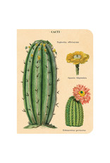 Cavallini Papers & Co. Succulents 3 Mini Notebooks