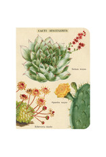 Cavallini Papers & Co. Succulents 3 Mini Notebooks